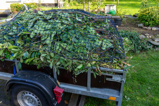 Best Mattress Disposal  in Buffalo, SC